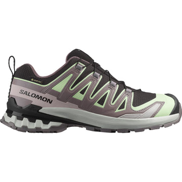 Salomon XA PRO 3D V9  GTX - Dame - Black pating /Patina Green