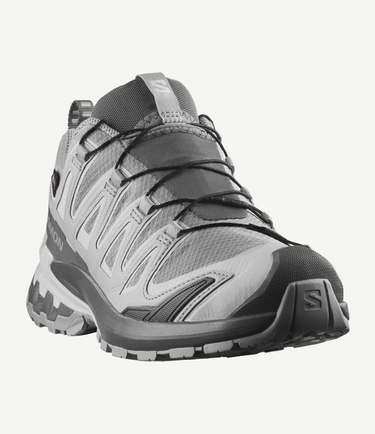 Salomon XA PRO 3D V9 GTX - Dame - Alloy/Castlerock/Lunroc
