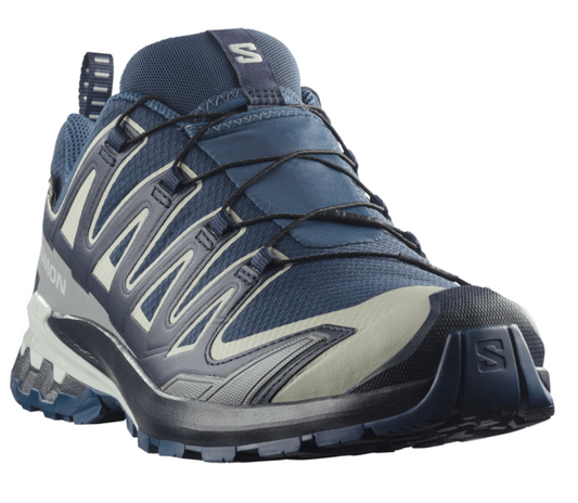 Salomon XA PRO 3D V9 GTX  - Herre - Spellbound / Maritime Blue